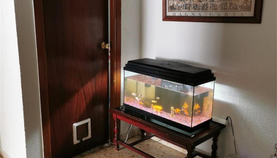 Flat for sale in Calle Pedro Monago, 15, Arroyo de San Serván, Badajoz - image 1 Photo 1 of Flat for sale in Calle Pedro Monago, 15, Arroyo de San Serván, Badajoz