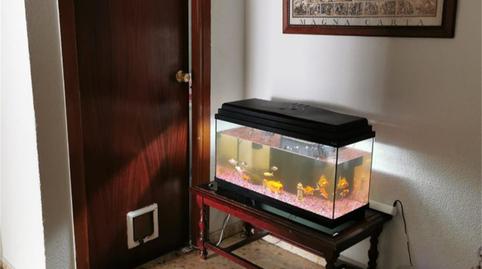 Flat for sale in Calle Pedro Monago, 15, Arroyo de San Serván, Badajoz - image 3 Photo 3 of Flat for sale in Calle Pedro Monago, 15, Arroyo de San Serván, Badajoz