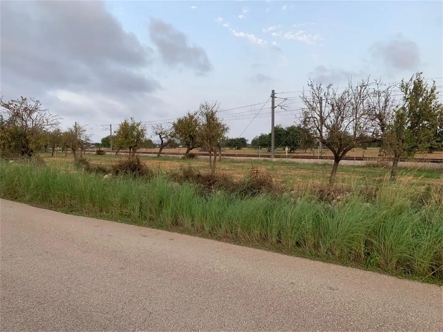Non-constructible Land for sale in Binissalem