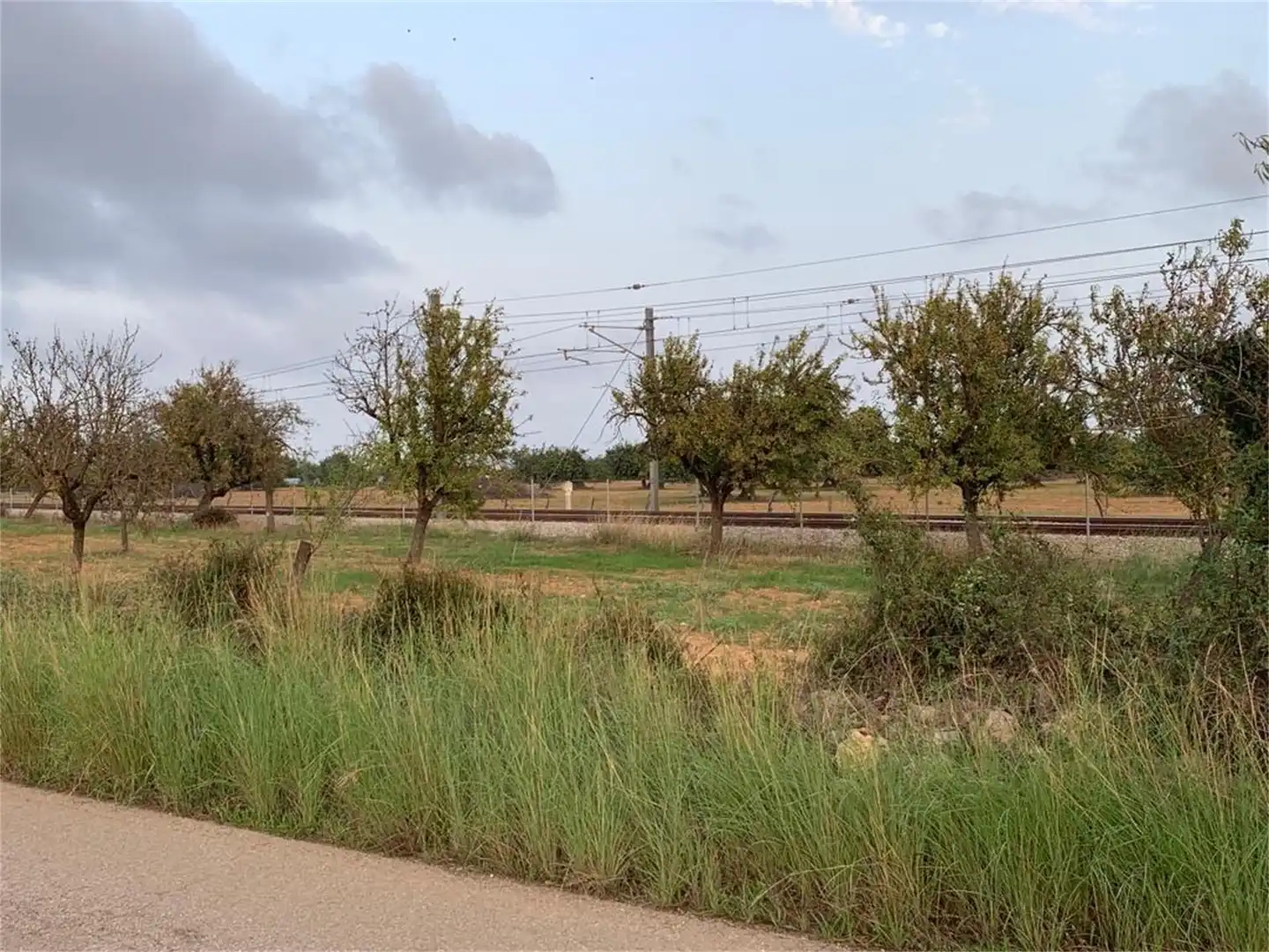 Non-constructible Land for sale in Binissalem