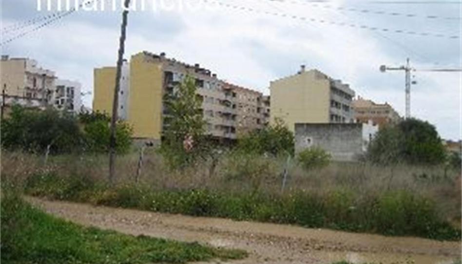 Urbanizable en venta en Calle Alcalá de Chivert, Pueblo, Castellón - imagen 1 Foto 1 de Urbanizable en venta en Calle Alcalá de Chivert, Pueblo, Castellón