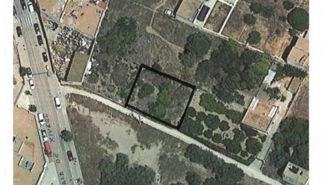 Urbanizable en venta en Calle Alcalá de Chivert, Pueblo, Castellón - imagen 4 Foto 4 de Urbanizable en venta en Calle Alcalá de Chivert, Pueblo, Castellón