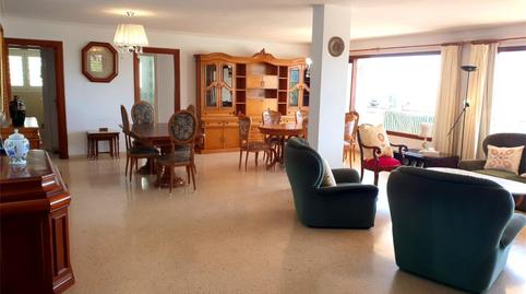 Attic to rent in Avinguda Tomás Blanes Tolosa, 8, Portals Nous, Illes Balears - image 2 Photo 2 of Attic to rent in Avinguda Tomás Blanes Tolosa, 8, Portals Nous, Illes Balears