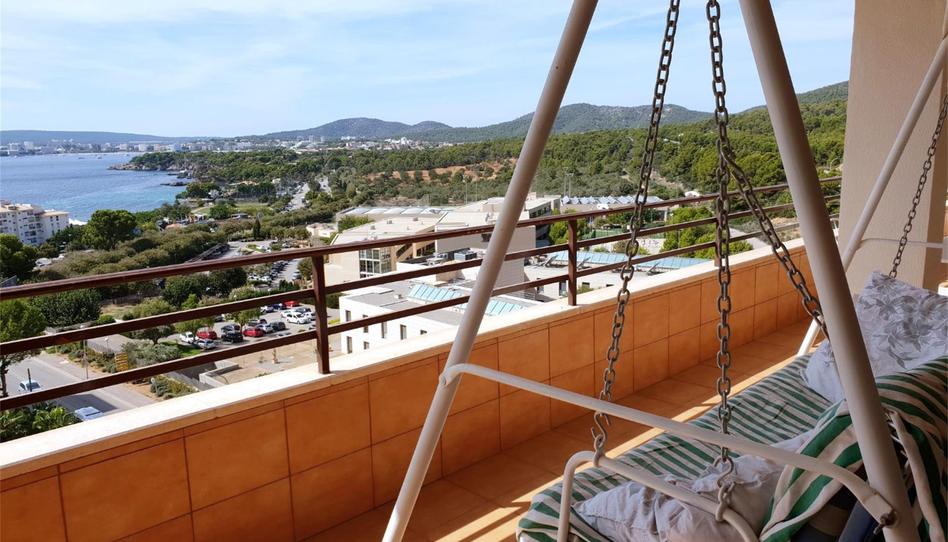 Attic to rent in Avinguda Tomás Blanes Tolosa, 8, Portals Nous, Illes Balears - image 1 Photo 1 of Attic to rent in Avinguda Tomás Blanes Tolosa, 8, Portals Nous, Illes Balears