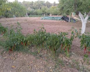 Garden of Land for sale in Alcaudete