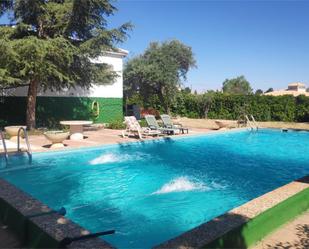 Swimming pool of House or chalet for sale in Argamasilla de Alba  with Terrace, Swimming Pool and Balcony