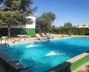 Piscina de Casa o xalet en venda en Argamasilla de Alba amb Jardí privat, Terrassa i Piscina