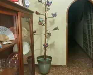 Garden of Flat for sale in  Almería Capital  with Terrace