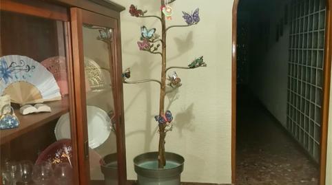 Piso en venta en Calle Catedrático Ignacio Cubillas, 4, Nueva Andalucía, Almería - imagen 4 Foto 4 de Piso en venta en Calle Catedrático Ignacio Cubillas, 4, Nueva Andalucía, Almería