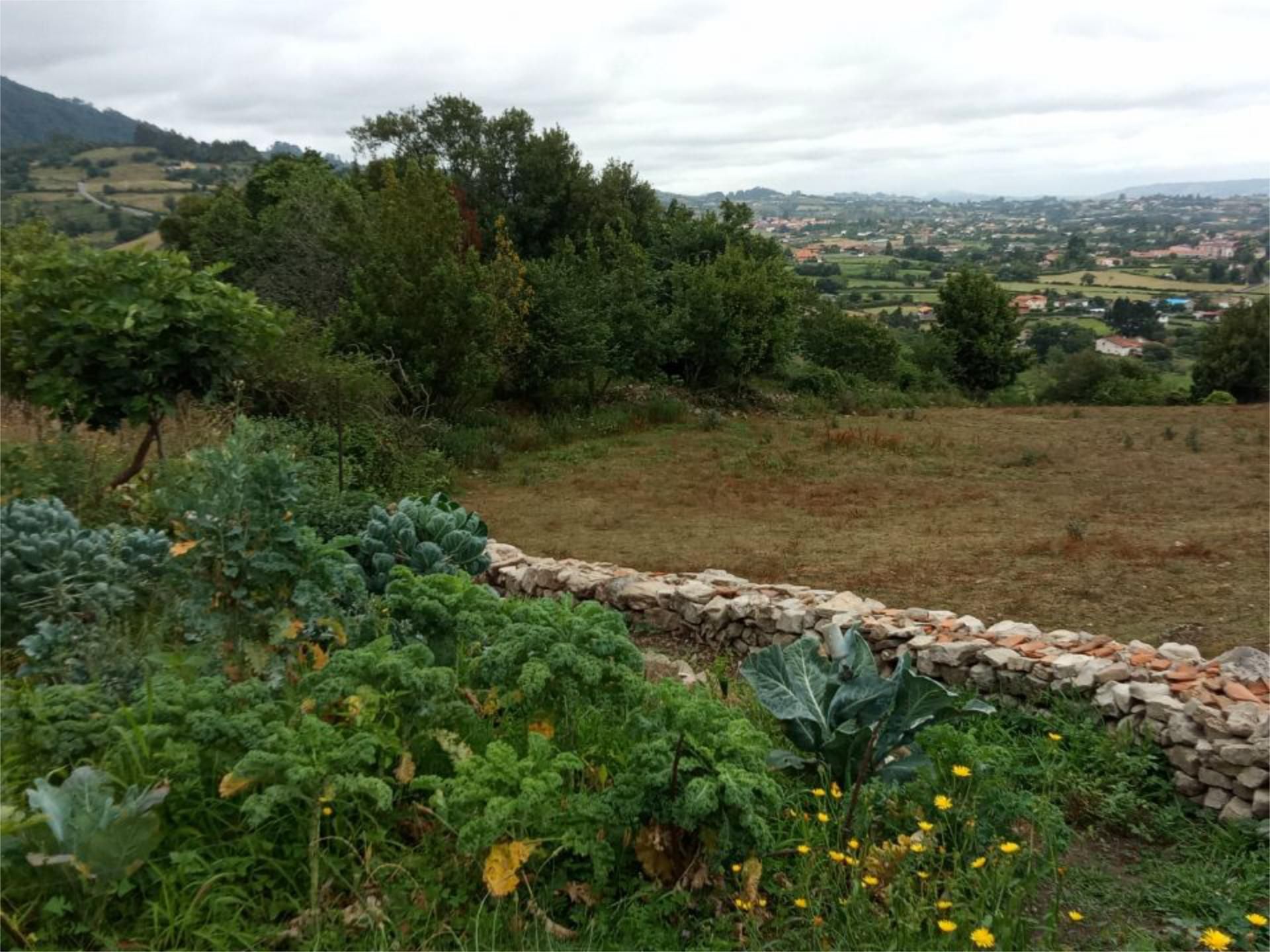 House or chalet to share in Camín de los Caldones, Santurio