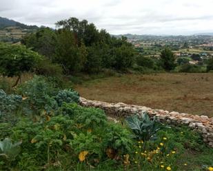 Casa o xalet per a compartir a Camín de Los Caldones, Rural