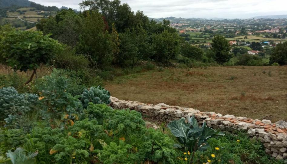 Foto 1 de Casa o xalet per a compartir a Camín de Los Caldones, Santurio, Asturias