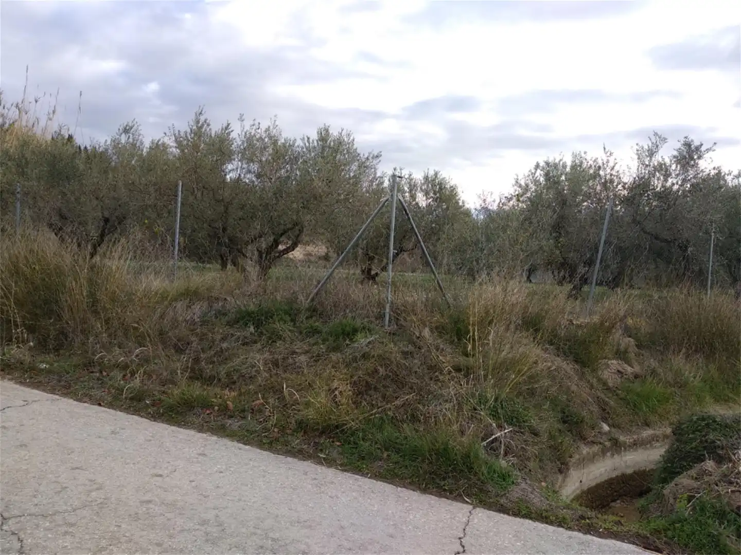 Terreno en venta en Agullent