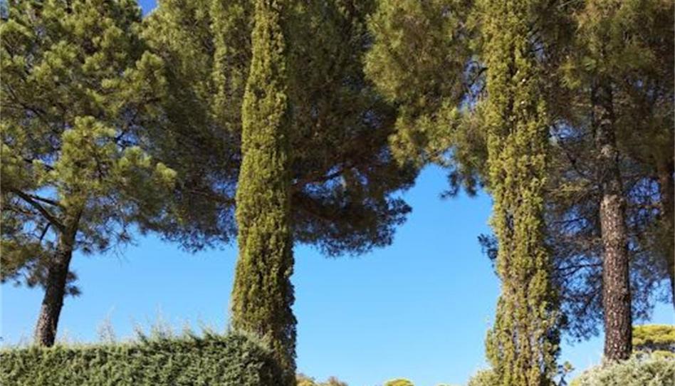 Foto 1 de Finca rústica en venda a Andújar, Jaén