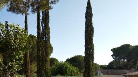 Foto 4 de Finca rústica en venda a Andújar, Jaén
