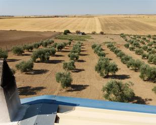 Jardí de Terreny en venda en Novés