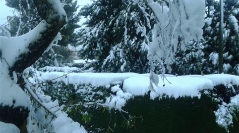 Foto 5 de Casa o xalet en venda a Calle Alicante, Torremanzanas / La Torre de les Maçanes, Alicante