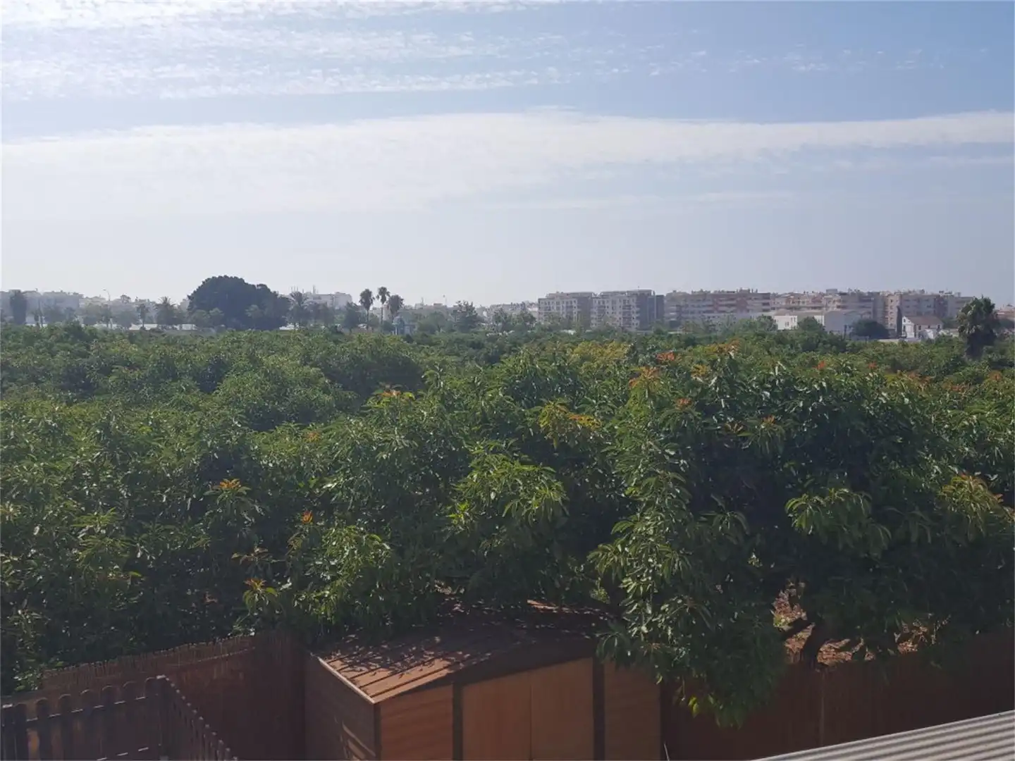 Country homes for rent in Camino de Enmedio, Avda Pescia - Ctra de Frigiliana Country homes for rent in Nerja with Air Conditioner, Terrace and Swimming Pool