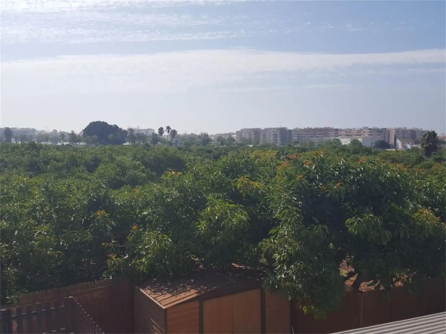 Country homes for rent in Camino de Enmedio, Avda Pescia - Ctra de Frigiliana Country homes for rent in Nerja with Air Conditioner, Terrace and Swimming Pool