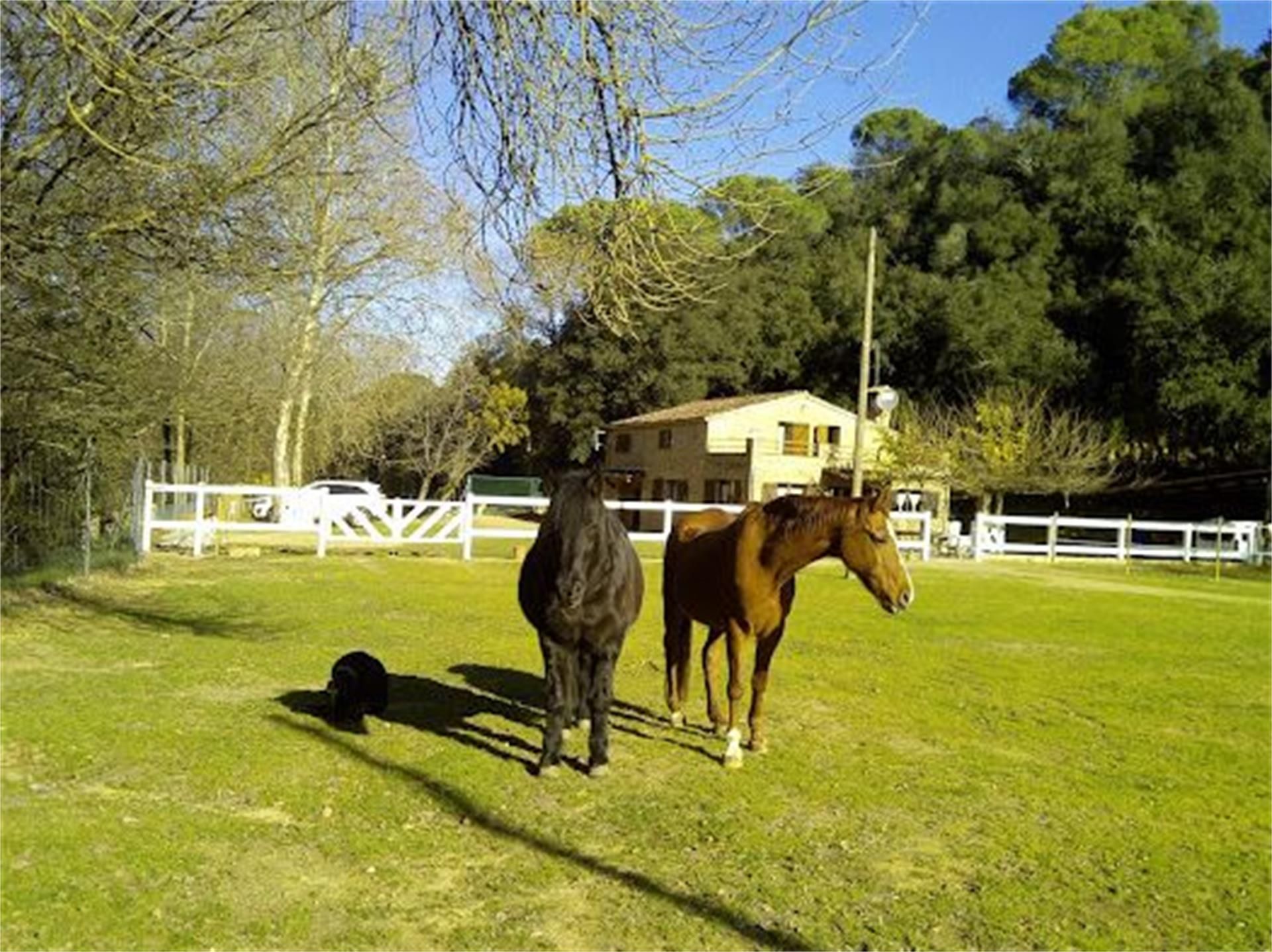 Exterior view of Country house for sale in Fogars de la Selva  with Air Conditioner, Terrace and Swimming Pool