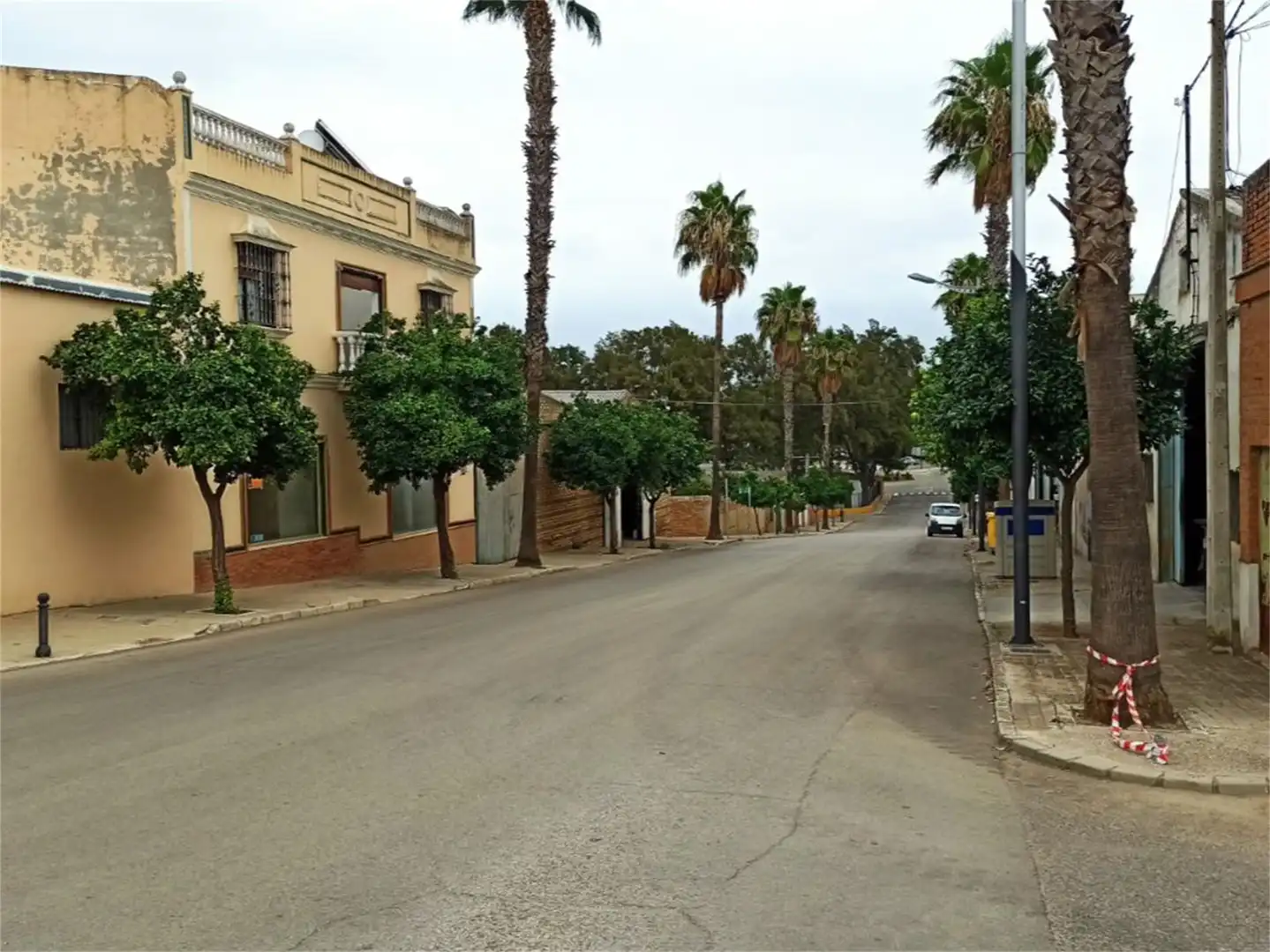 Vista exterior de Local de alquiler en Cañada Rosal con Aire acondicionado