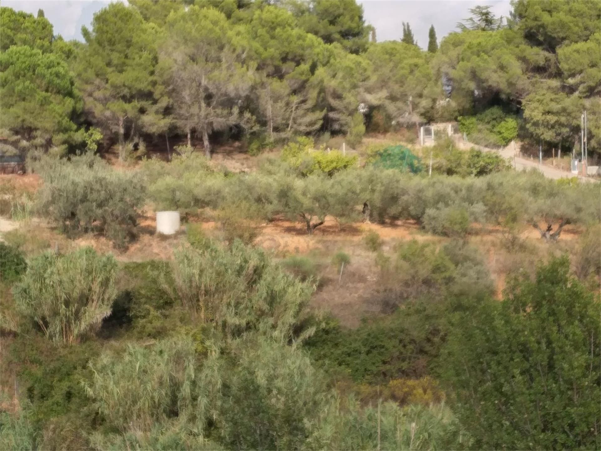 Land for sale in Terrassa