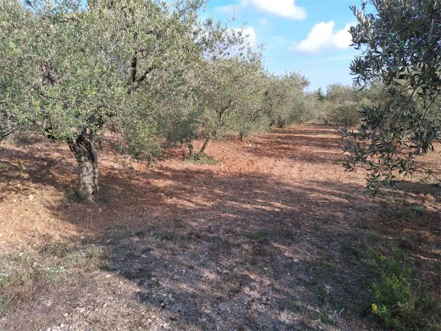 Land for sale in Terrassa