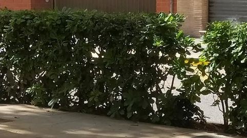 Garage zum Verkauf in Avenida Gregorio Gea, 69, Cardenal Benlloch, Mislata - Bild 3 Foto 3 von Garage zum Verkauf in Avenida Gregorio Gea, 69, Cardenal Benlloch, Mislata