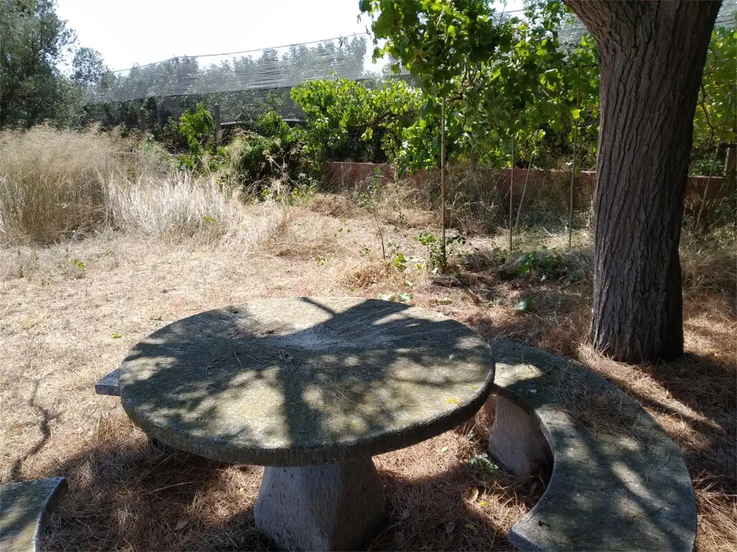 Terreno en venta en L'Armentera Jardín de Terreno en venta en L'Armentera