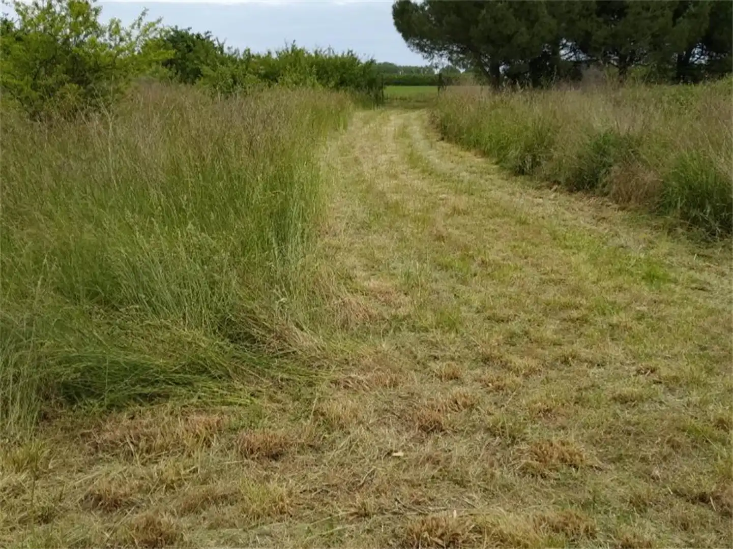 Terreno en venta en L'Armentera Terreno en venta en L'Armentera