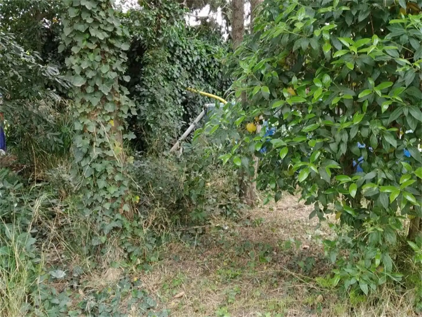Terreno en venta en L'Armentera Jardín de Terreno en venta en L'Armentera
