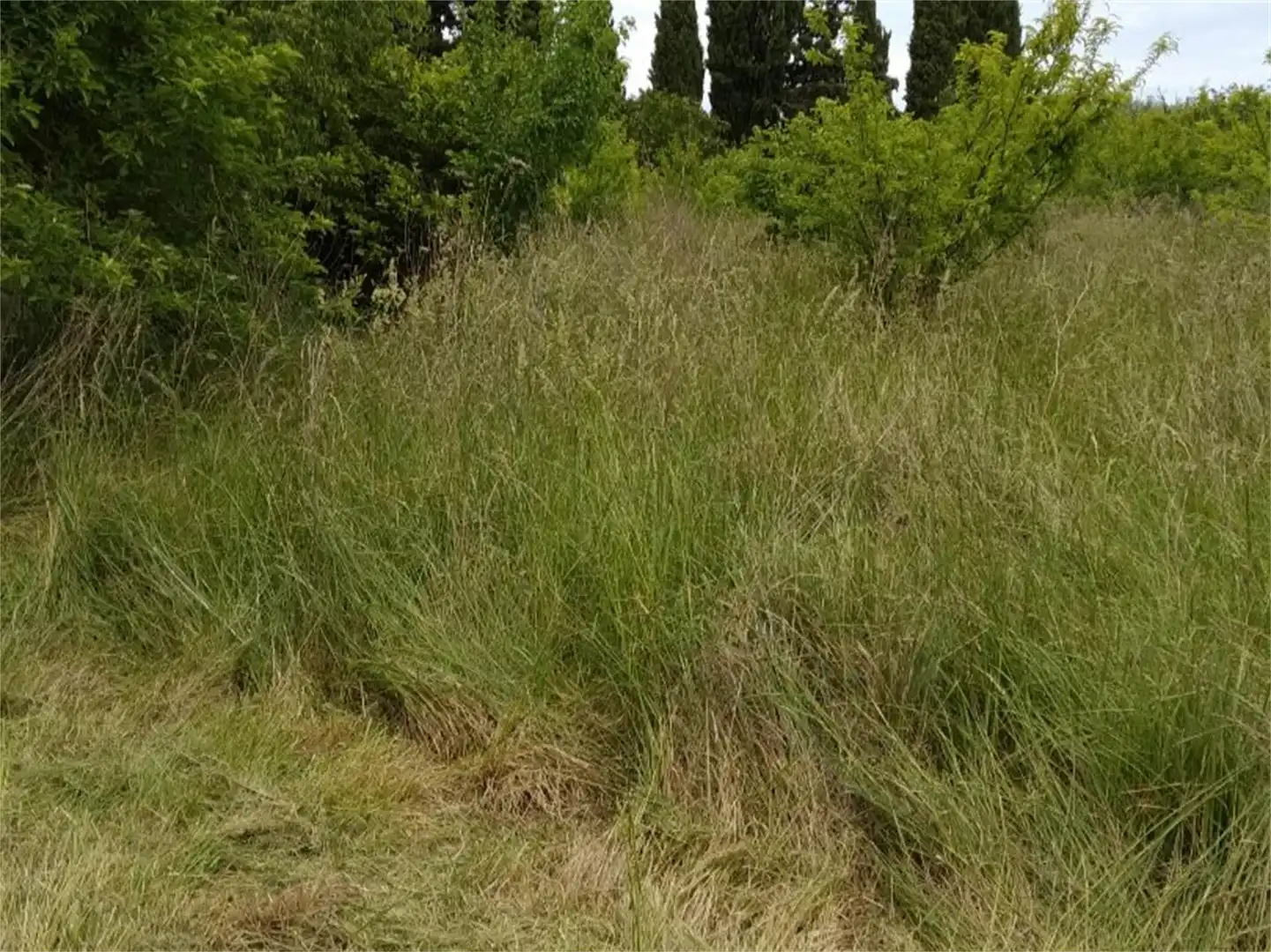 Terreno en venta en L'Armentera Terreno en venta en L'Armentera