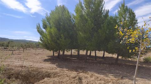 Finca rústica en venda a Avenida Valle de Ricote, Ricote, Murcia - imatge 2 Foto 2 de Finca rústica en venda a Avenida Valle de Ricote, Ricote, Murcia