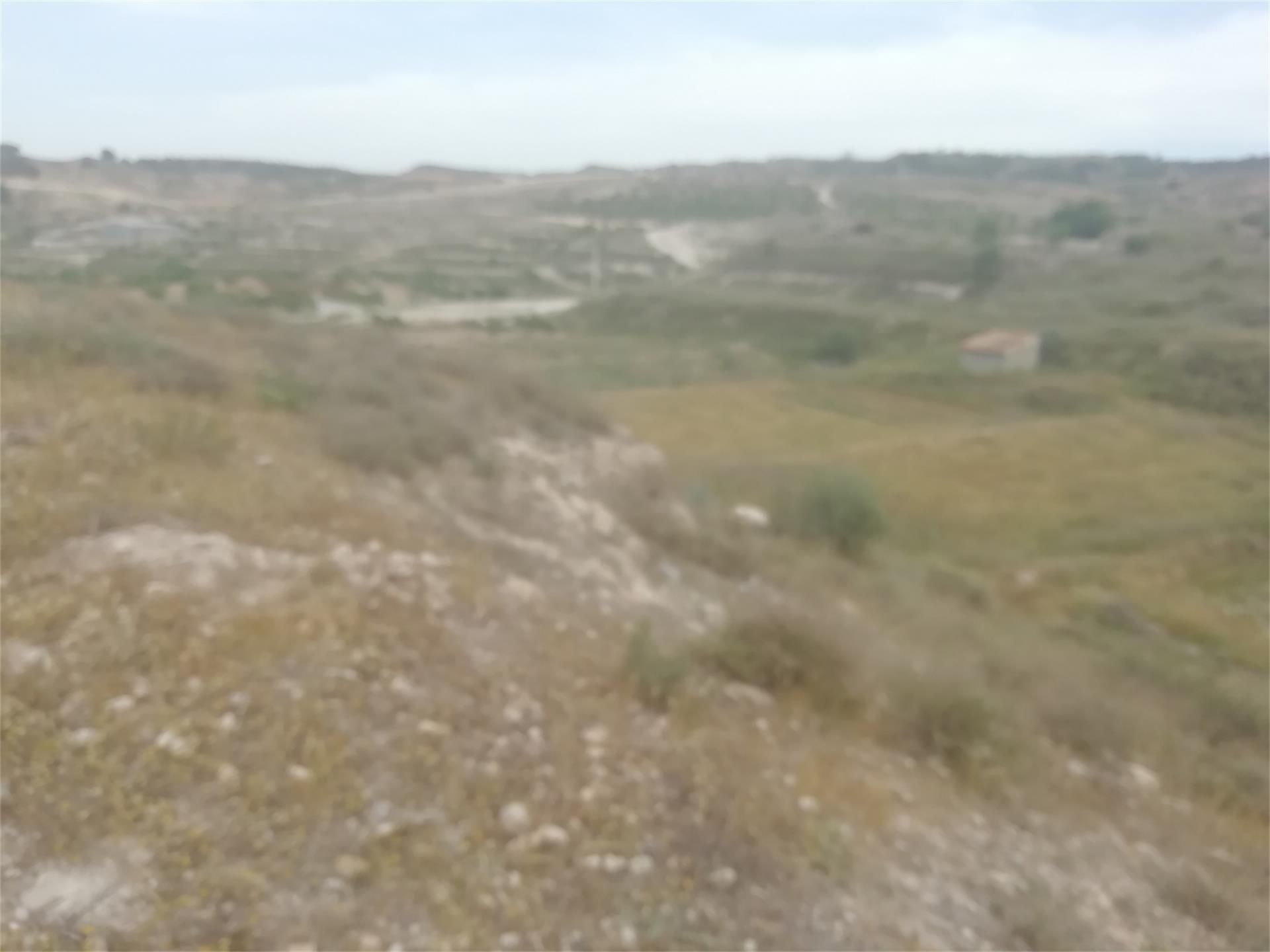 Land for sale in  Murcia Capital