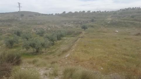 Land for sale in Calle Santo Cristo, Barqueros, Murcia - image 4 Photo 4 of Land for sale in Calle Santo Cristo, Barqueros, Murcia