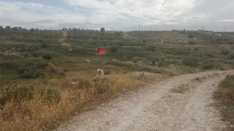 Land for sale in Calle Santo Cristo, Barqueros, Murcia - image 2 Photo 2 of Land for sale in Calle Santo Cristo, Barqueros, Murcia