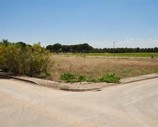 Land for sale in Arenales de San Gregorio