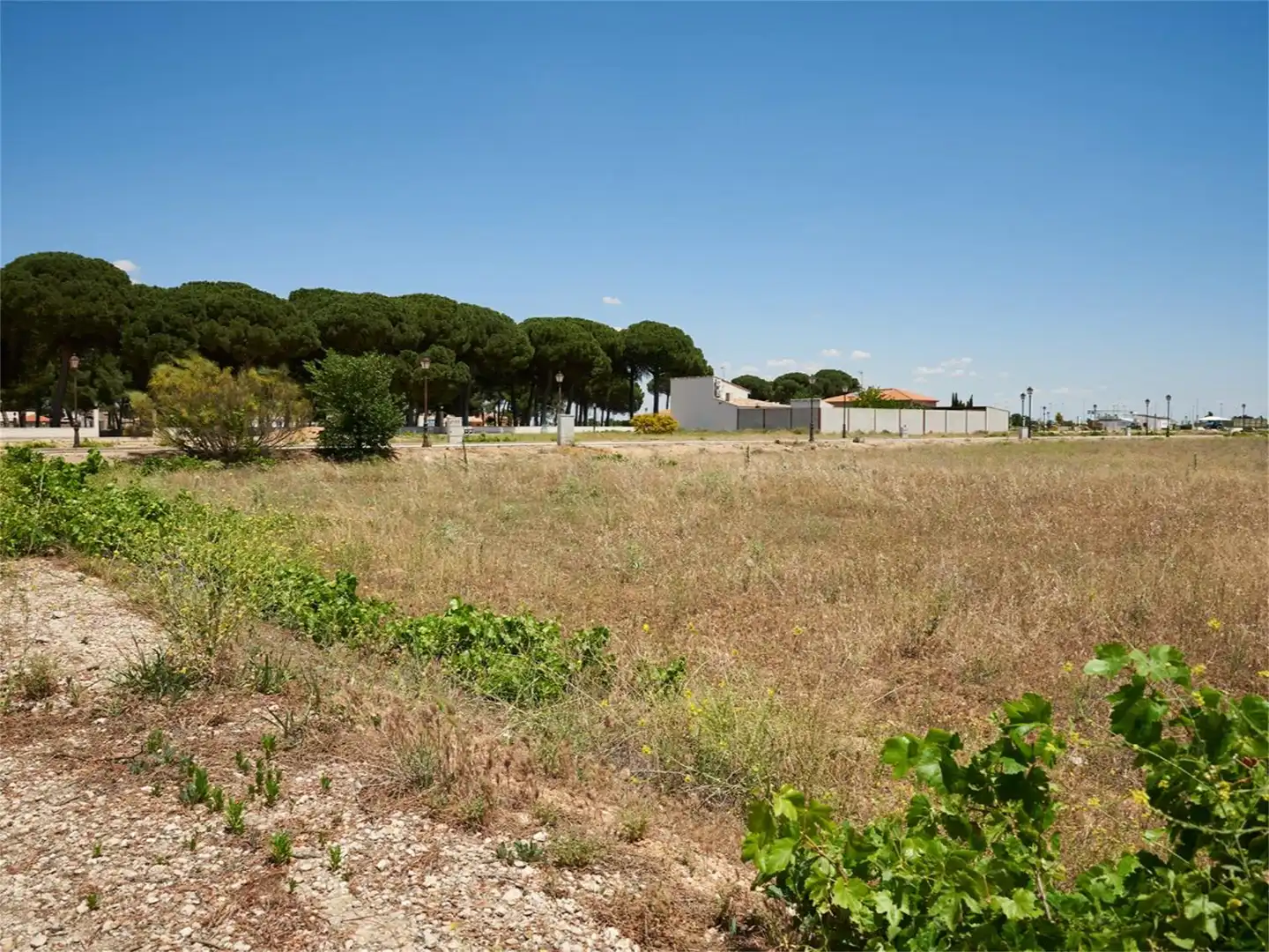 Grundstücke zum Verkauf in Arenales de San Gregorio Grundstücke zum Verkauf in Arenales de San Gregorio