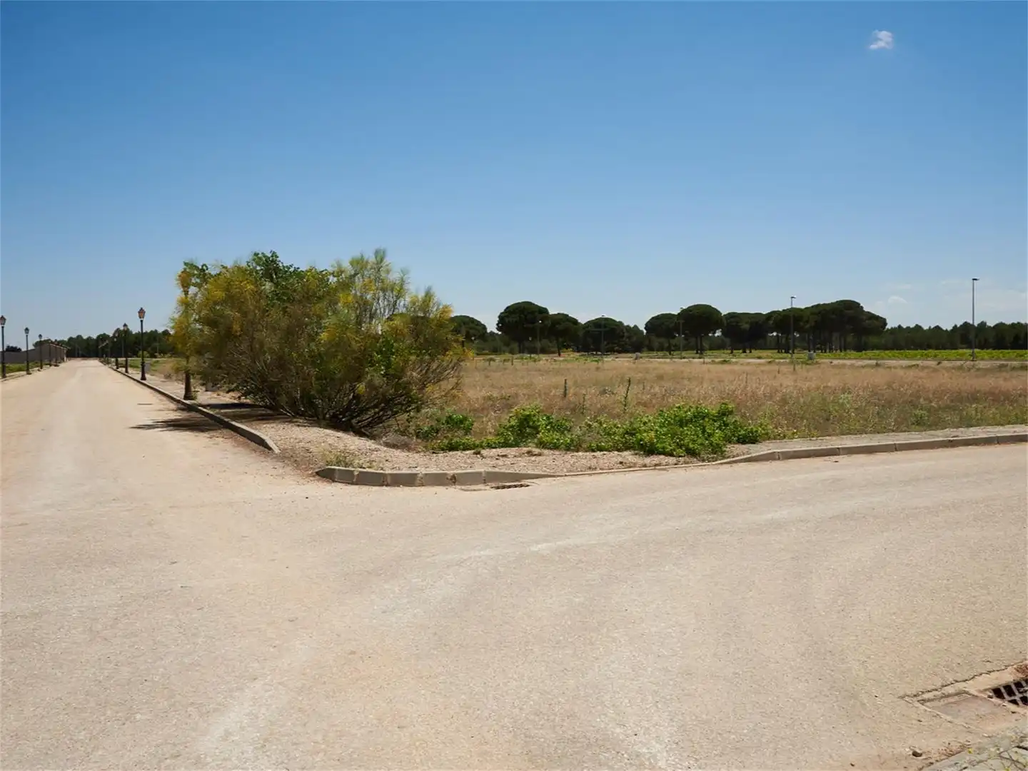 Grundstücke zum Verkauf in Arenales de San Gregorio Grundstücke zum Verkauf in Arenales de San Gregorio