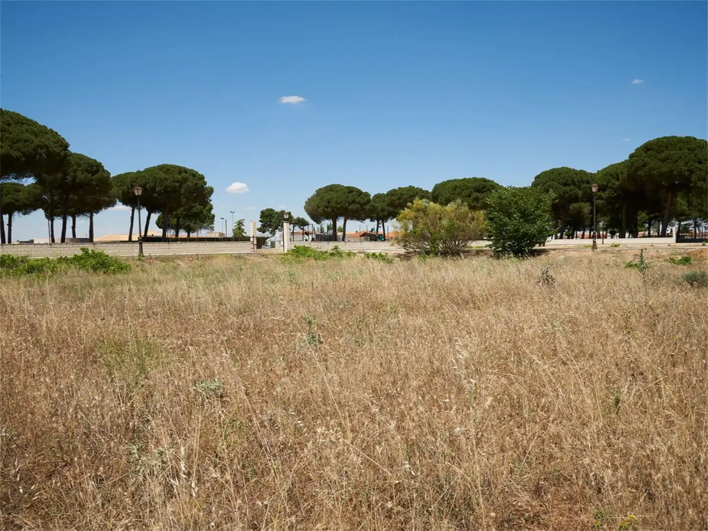 Grundstücke zum Verkauf in Arenales de San Gregorio Grundstücke zum Verkauf in Arenales de San Gregorio