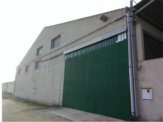 Nave industrial en Alquiler en Calle Camino Real en La Gineta