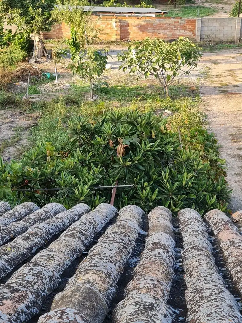 Flat for sale in Ayora  with Private garden