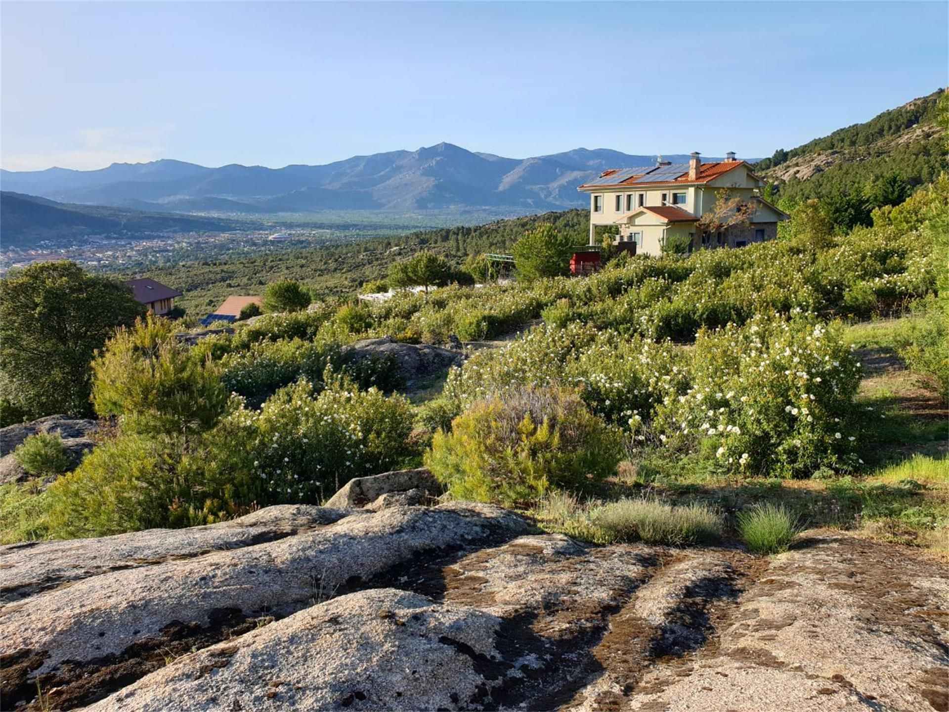 Land for sale in Collado Villalba