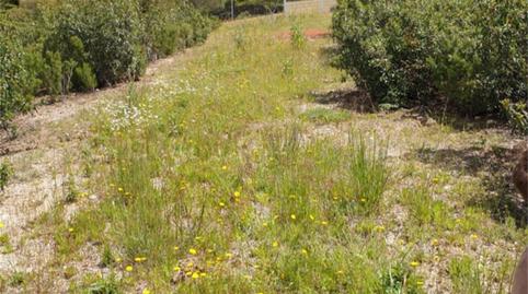 Photo 5 of Land for sale in Calle Peña del Águila, 55, Fontenebro - Altavista, Madrid