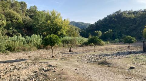 Foto 4 de Terreno en venta en Benarrabá, Málaga