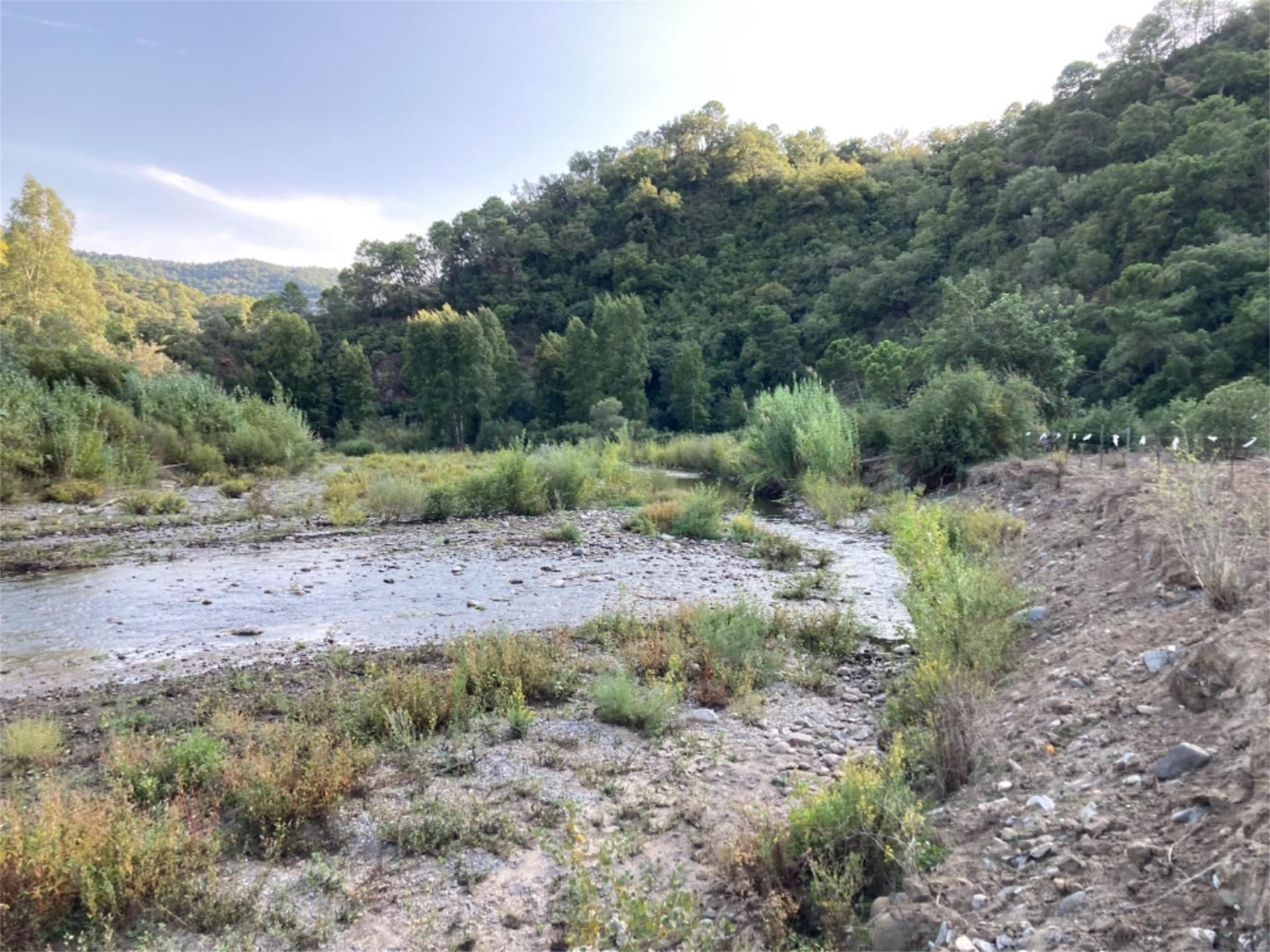 Land for sale in Benarrabá