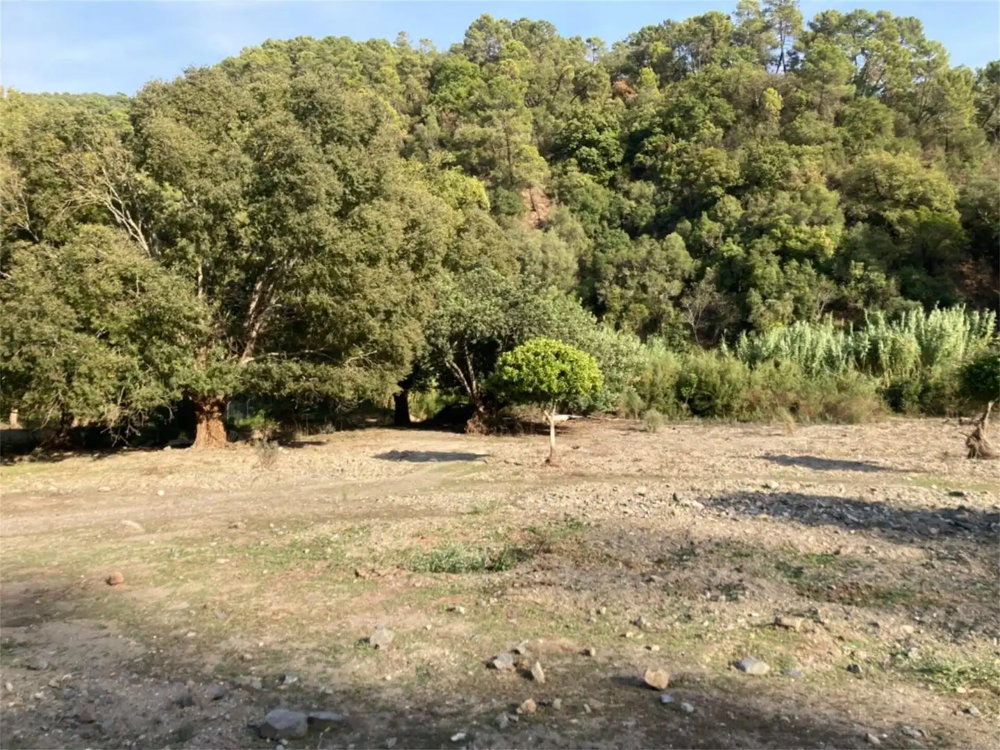 Land for sale in Benarrabá