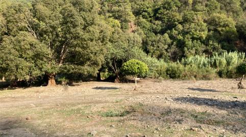 Foto 5 de Terreno en venta en Benarrabá, Málaga