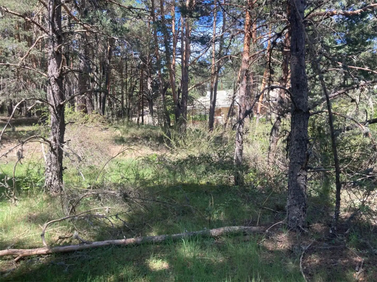 Land for sale in Calle Los Prados, Navaleno Land for sale in Navaleno
