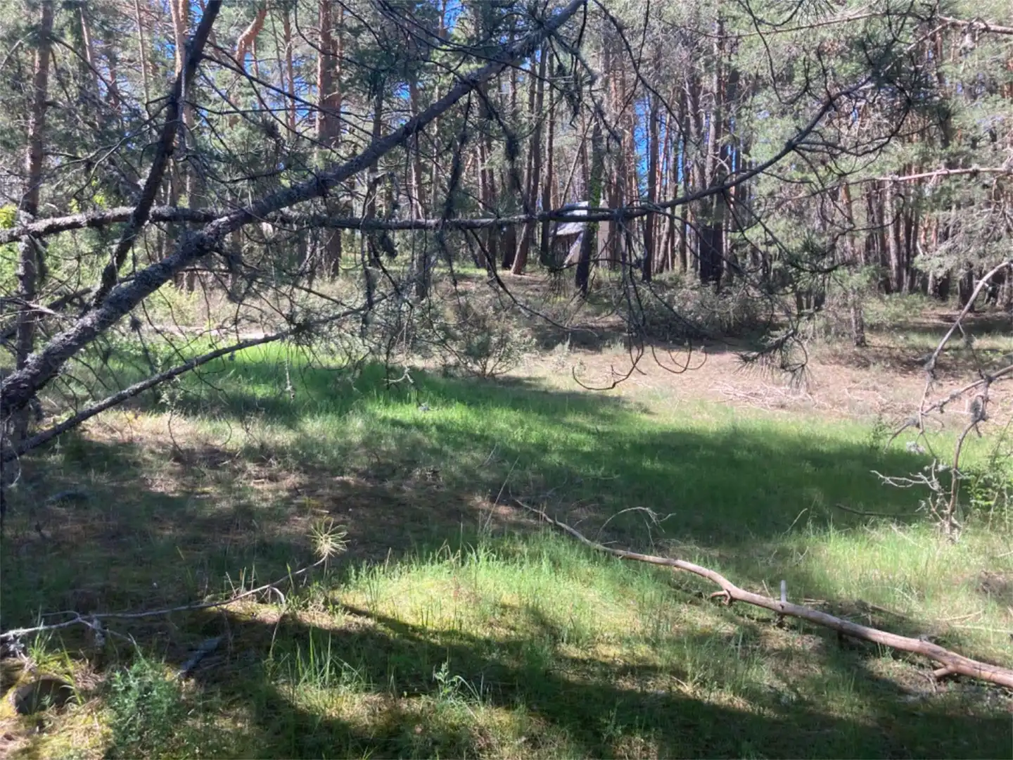 Land for sale in Calle Los Prados, Navaleno Land for sale in Navaleno